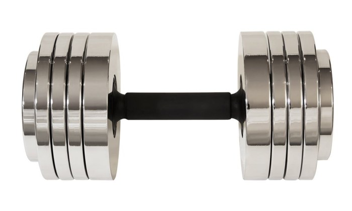 adjustable dumbbells 100 lbs
