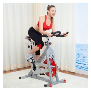 Sunny Health And Fitness Pro Indoor Bike