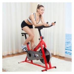 Sunny SF-B1001 Indoor Cycling Bike