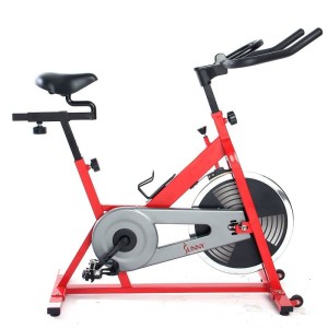 10. Sunny SF-B1001 Indoor Cycling Bike