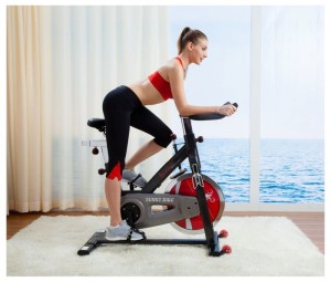 Sunny SF-B1002 Belt Drive Indoor Exercise Bike