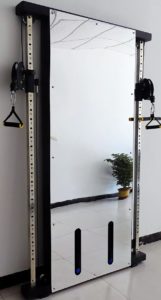 French Fitness Wall Monted Mirror Functional Trainer featured image