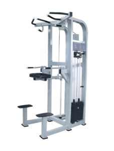 French Fitness Shasta Assisted Chin Dip